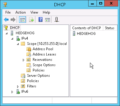 The Microsoft DHCP server
